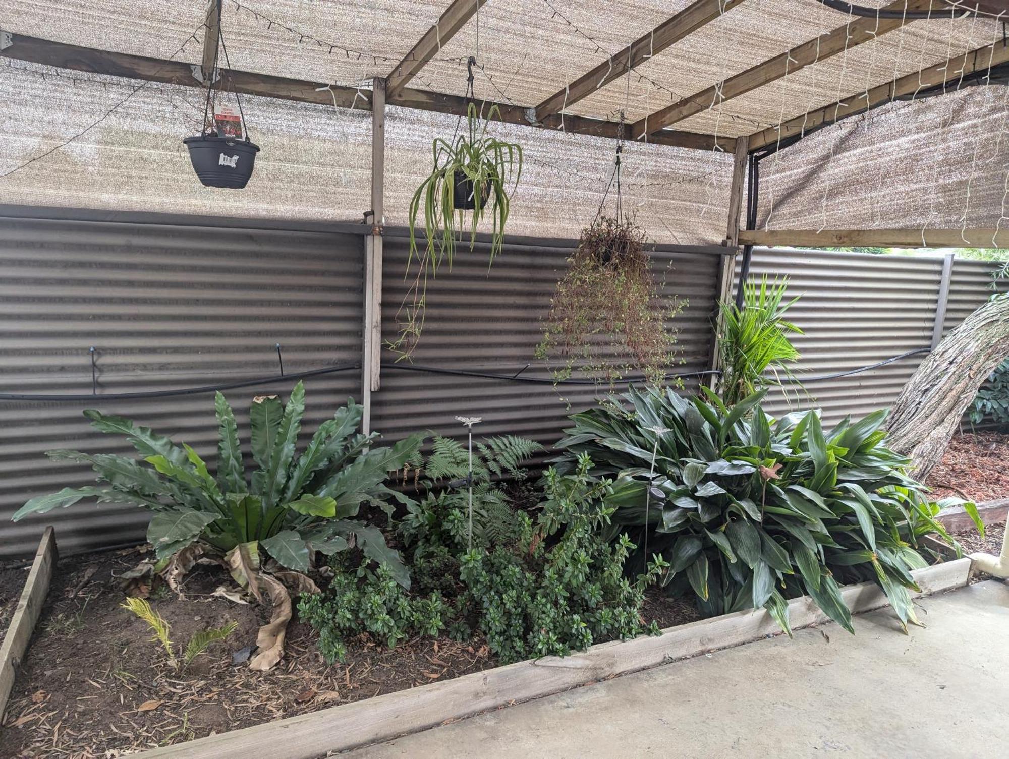 Kyabram Country Motel Ngoại thất bức ảnh